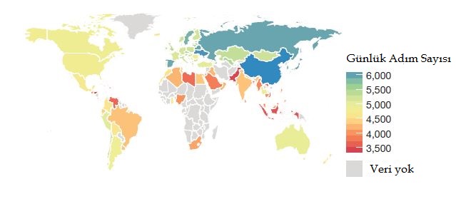 Türkiye Adım Sayısı