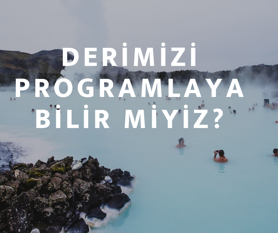 Deri Programlanabilir Mi_